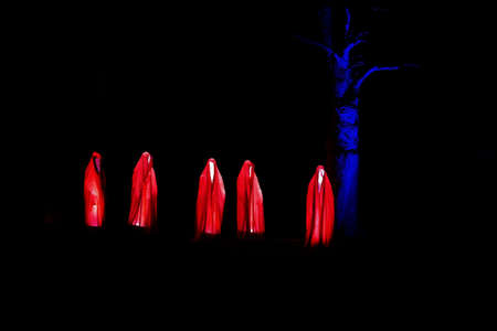 A mysterious view of a light show in the park with a tree
