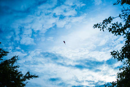 A beautiful shot of cloudy blue skies with tree branches on the sideの写真素材