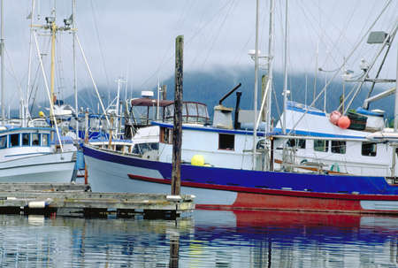 A picture of ships on the sea with forests covered in the fog on the background
