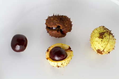 A high angle shot of some kind of exotic fruit on a white surface