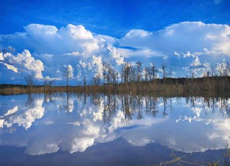 A scenery of the fluffy white clouds reflecting in the lake
