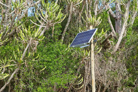 A low angle shot of a solar panel among the tall and beautiful trees