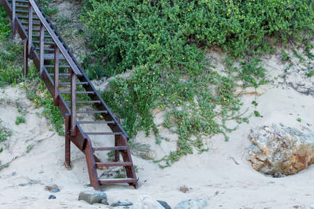 A metal staircase up the hill surrounded by green plants at the beachの写真素材
