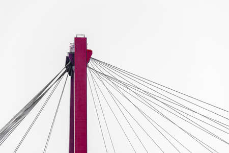 A metal string attached to the pole of a cable-stayed bridge