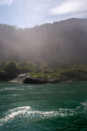 A vertical shot of a green and grassy seashoreの写真素材