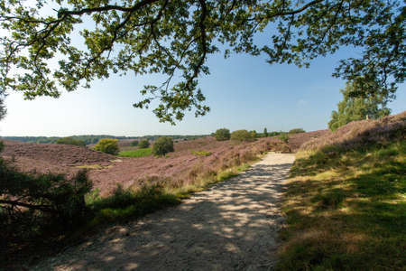 A pathway in the middle of hills under a blue sky at daytimeの写真素材