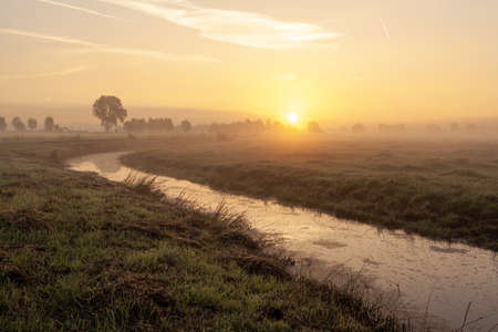 A water stream in the middle of grassy field with the sin in a foggy background at sunriseの写真素材