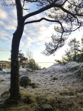 A vertical shot of a river surrounded by nature scenery in Stavern, Norwayの写真素材