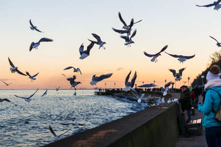 GDYNIA, POLAND - Jan 05, 2020: People standing by a barrier close by a sea at the seaside on a cold day.の写真素材