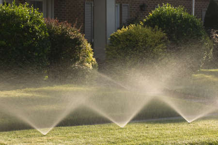 A picture of water sprinkler in a garden surrounded by grass and bushes under the sunlight