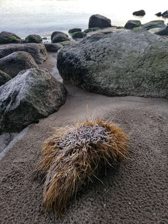 A vertical closeup shot of rock formations on the beach in Stavern, Norwayの写真素材