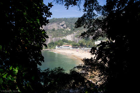 The Urca beach and green leaves  in Rio De Janeiro green leaves