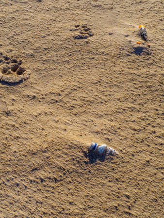A plastic bottle buried in the sand - environment pollution conceptの写真素材