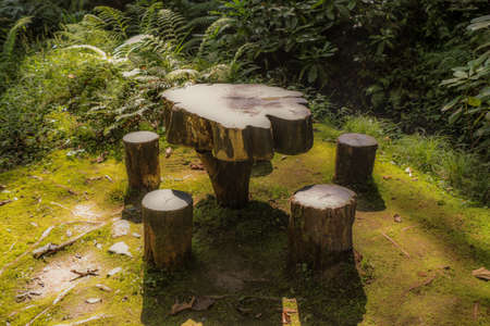 A high angle shot of an outdoor table with chairs made of wooden trunks