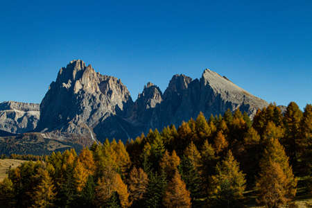 The beautiful scenery of trees and mountain in the distance at dolomite Italy