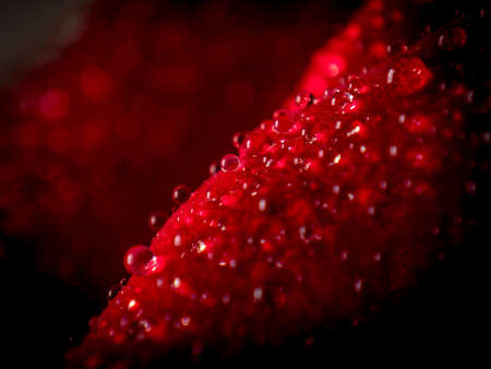 A closeup shot of water droplets on a red fluffy surface - perfect for aesthetic backgroundsの写真素材