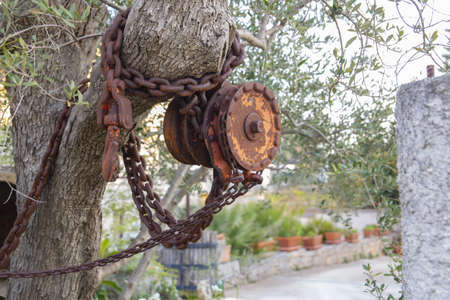 An old rusty metallic chain on a tree in a garden with a blurry backgroundの写真素材