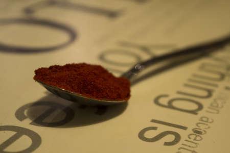 A closeup shot of paprika powder on a metal spoon