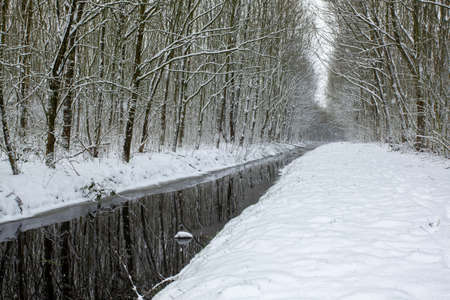 A lake in the middle of snowy fields with trees covered in snowの写真素材