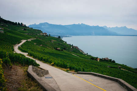A high angle shot of a road in the middle of grassy hill under a cloudy skyの写真素材