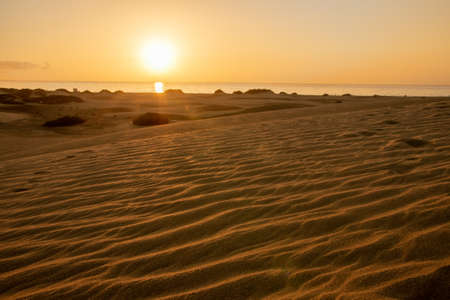 Early morning relaxing calm sunrise in the dunes of Maspalomas, Gran Canaria in the summerの写真素材