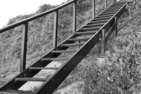 A grayscale shot of a staircase up the hill surrounded by plantsの写真素材
