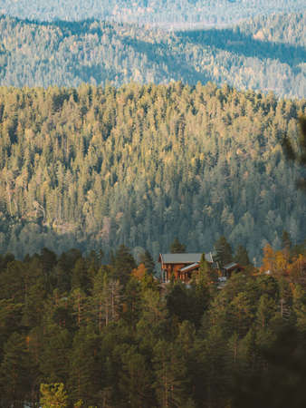 A vertical shot of a cabin in a forest surrounded by a lot of green trees in Norway