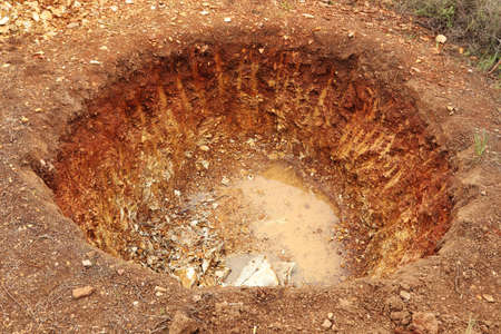 A high angle shot of a big hole dug in the middle of a forest