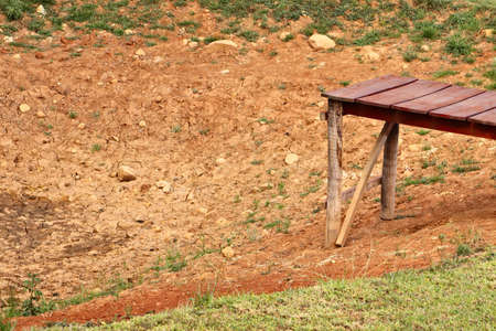 A wooden dock in the middle of a forest