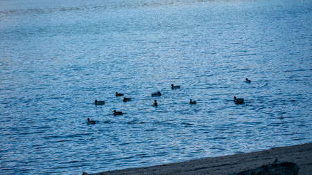 A lake with ducks on it surrounded by rocks under the sunlight in Madridの写真素材