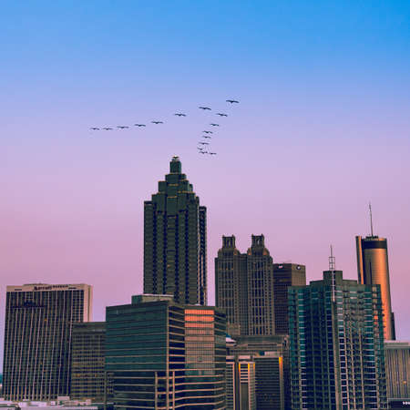 A wide shot of high rise buildings in Atlanta under the beautiful purple sky with flying birdsのeditorial素材