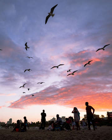 A beautiful shot of silhouettes of people looking at the red sky during sunset full of birdsのeditorial素材