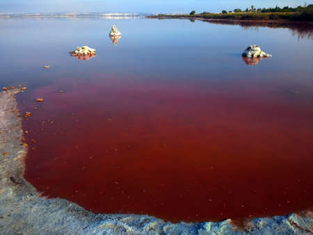 The famous beautiful Lago Rosa in Torrevieja, Spainの写真素材