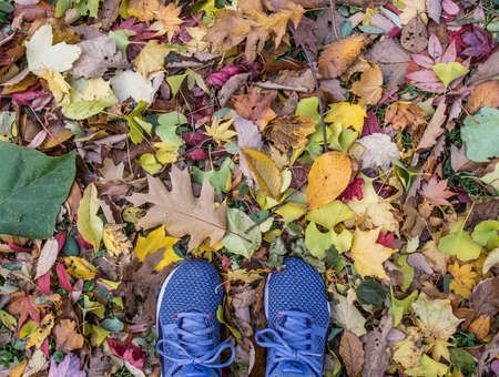 A pair of feet on colorful Autumn leaves