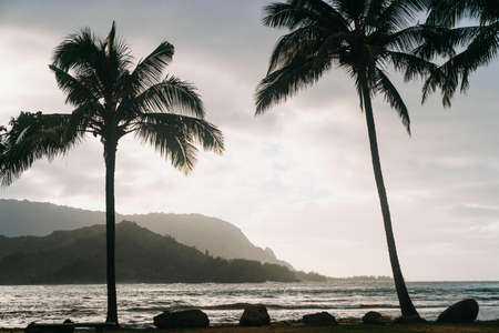 A silhouette shot of mountains and palm trees in the open seaの写真素材