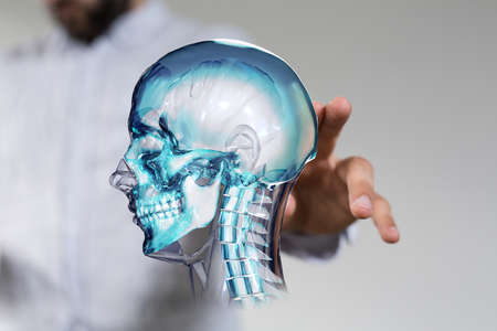 A virtual projection of a human skull - medical network connection concept