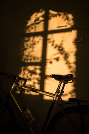 A vertical shot of a bicycle leaned against a wallの写真素材