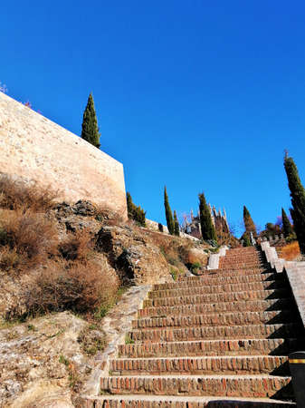 A vertical shot of stairs leading to a garden in Toledo, Spainの写真素材
