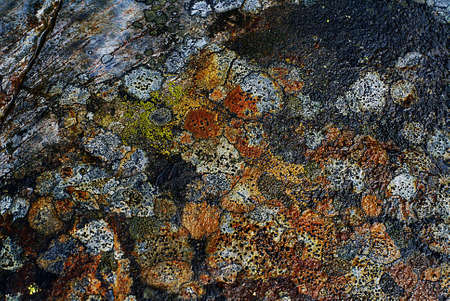 A closeup shot of a rock texture with colorful natural marksの写真素材