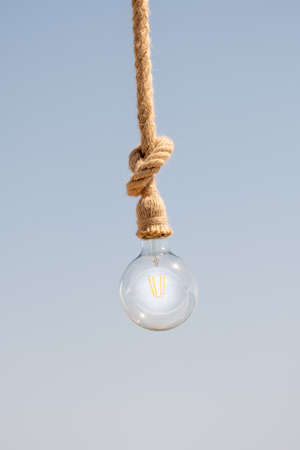 A vertical shot of a bulb hanging from a brow rope on a pale gray background