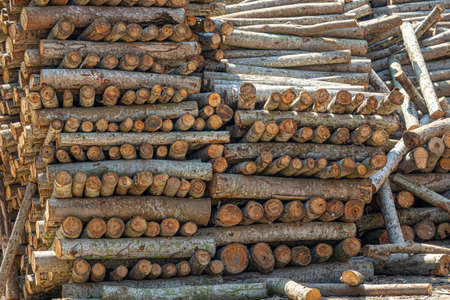 A closeup shot of many firewoods stacked on each other