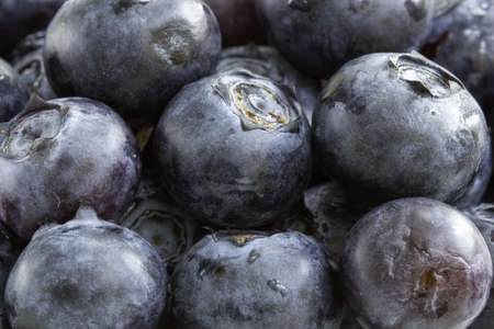A closeup shot of blueberries background.の写真素材