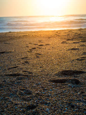 A vertical picture of the beach with footsteps on it surrounded by the sea under the sunlightの写真素材