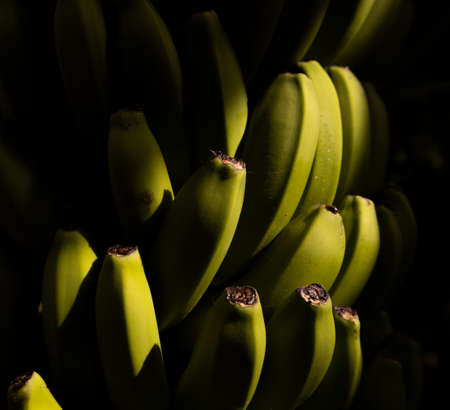 A selective focus shot of a bunch of bananas with a black backgroundの写真素材