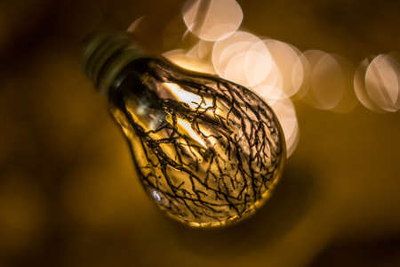 A closeup shot of a light bulb with trees drawn on the glass