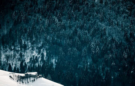 A high angle shot of a cabin on a  mountain edge with an alpine forest viewの写真素材