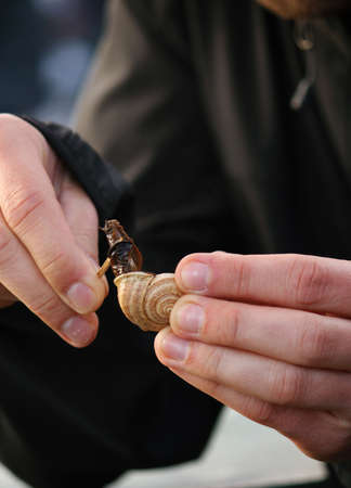 A vertical shot of a person holding a snail