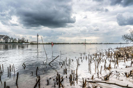A wide angle shot of trees and plants growing on top of the water under a cloudy skyの写真素材