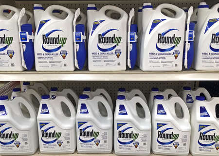 Plymouth, WI â SEPTEMBER 18, 2018: Store shelf full of many bottles of Roundup ready to use weed and grass killer. Sprayer and refills.の写真素材