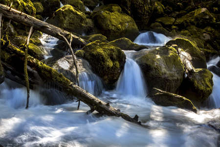 A low angle shot of a mesmerizing waterfall in the middle of the forest
